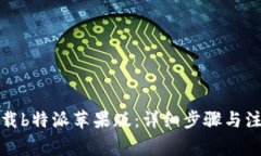如何下载b特派苹果版：详细步骤与注意事项