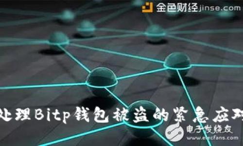 如何处理Bitp钱包被盗的紧急应对措施