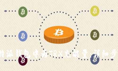 如何在b特派钱包中为TRX充能量：详细步骤与技巧