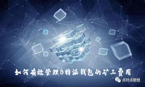 如何有效管理B特派钱包的矿工费用