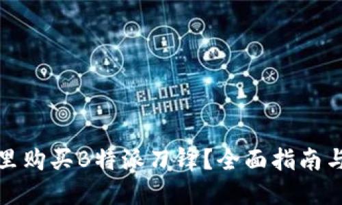 在哪里购买B特派刀锋？全面指南与推荐
