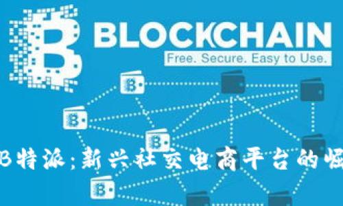 全面解析比太B特派：新兴社交电商平台的崛起与未来趋势