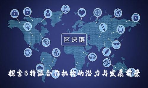 探索B特派合作机构的潜力与发展前景