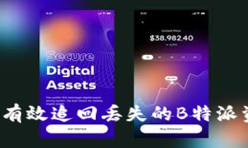 如何有效追回丢失的B特派资金？