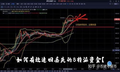 如何有效追回丢失的B特派资金？