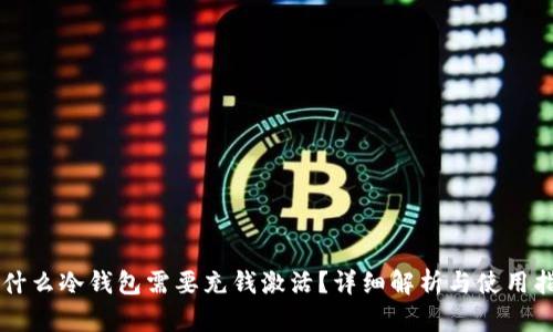 为什么冷钱包需要充钱激活？详细解析与使用指南