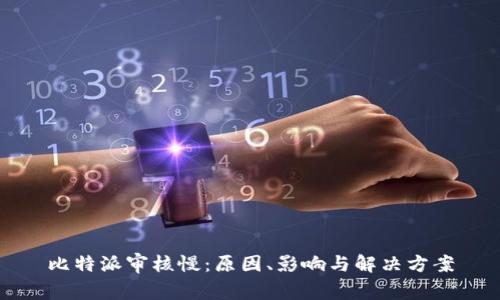 比特派审核慢：原因、影响与解决方案