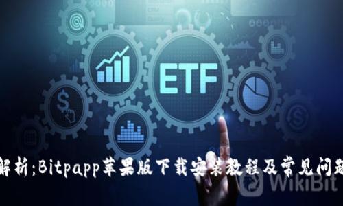全面解析：Bitpapp苹果版下载安装教程及常见问题解答