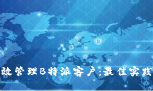 如何有效管理B特派客户：最佳实践与策略