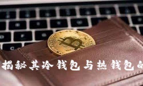 小狐狸钱包：揭秘其冷钱包与热钱包的区别和选择