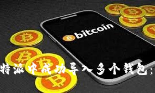 如何在B特派中成功导入多个钱包：全面指南