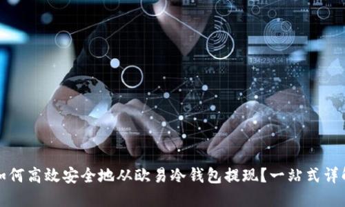 如何高效安全地从欧易冷钱包提现？一站式详解