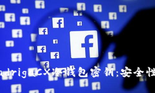 : 全面解析QuadrigaCX冷钱包密钥：安全性、管理与实用性