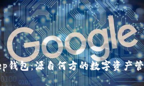 Bitkeep钱包：源自何方的数字资产管理利器