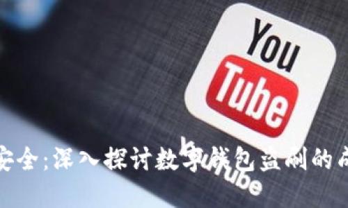 保护你的财产安全：深入探讨数字钱包盗刷的成因与防范措施