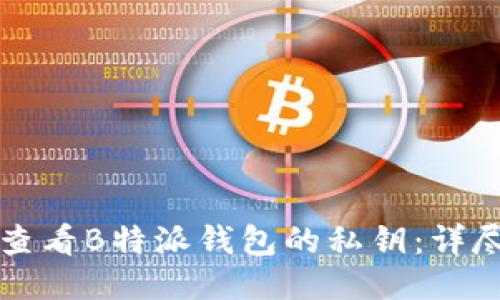 如何查看B特派钱包的私钥：详尽指南