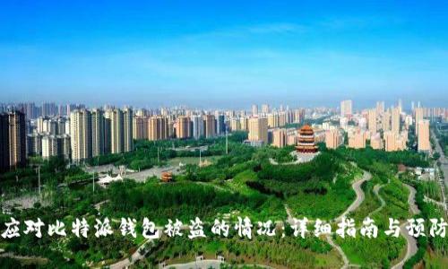 如何应对比特派钱包被盗的情况：详细指南与预防措施