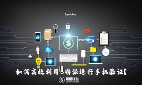 如何高效利用B特派进行手机验证？