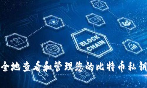 如何安全地查看和管理您的比特币私钥和密码