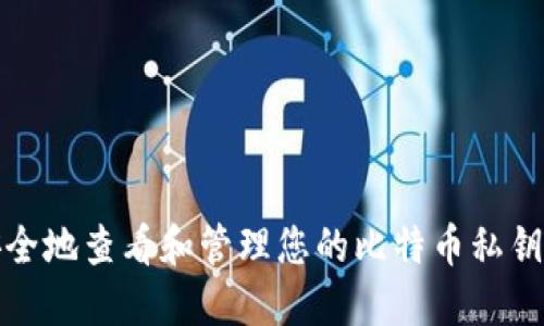 如何安全地查看和管理您的比特币私钥和密码