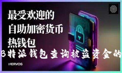 如何通过B特派钱包查询被盗资金的详细步骤