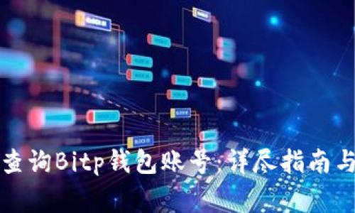 如何通过客服查询Bitp钱包账号：详尽指南与常见问题解答