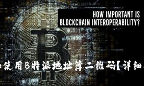 如何创建和使用B特派地址簿二维码？详细指南与技巧