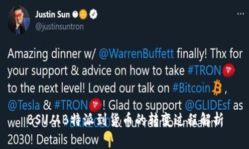 BSV从B特派到货币的转变过程解析