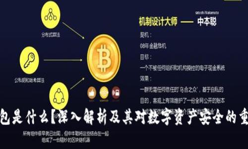 冷钱包是什么？深入解析及其对数字资产安全的重要性