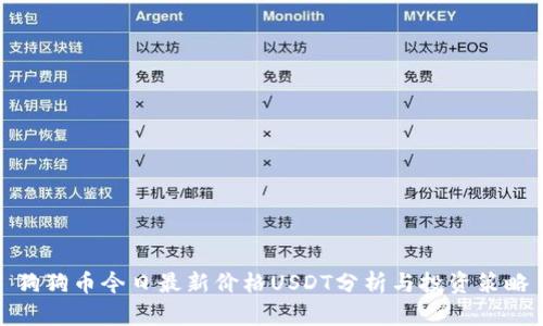狗狗币今日最新价格USDT分析与投资策略