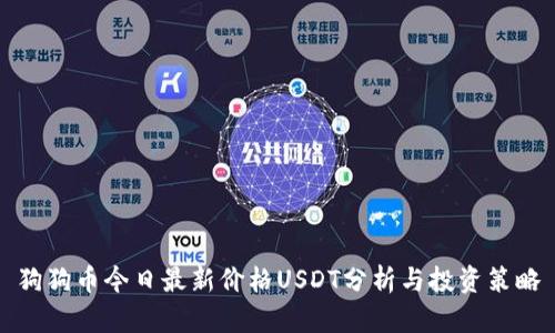 狗狗币今日最新价格USDT分析与投资策略