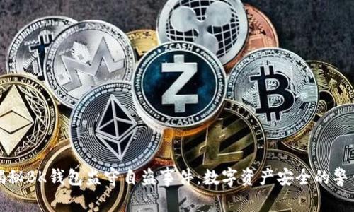 揭秘BK钱包监守自盗事件：数字资产安全的警钟
