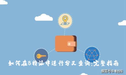 如何在B特派中进行分叉查询：完整指南