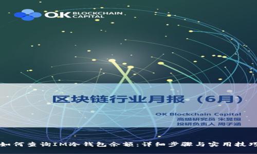 如何查询IM冷钱包余额：详细步骤与实用技巧