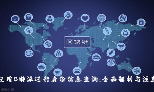 如何使用B特派进行身份信息查询：全面解析与注意事项