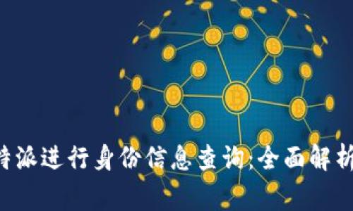 如何使用B特派进行身份信息查询：全面解析与注意事项