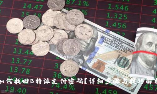 如何找回B特派支付密码？详细步骤与技巧解析