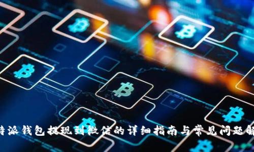 B特派钱包提现到微信的详细指南与常见问题解答