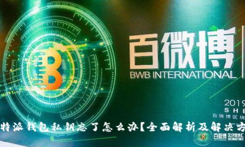 比特派钱包私钥忘了怎么办？全面解析及解决方案