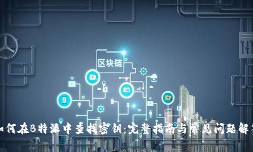 如何在B特派中查找密钥：完整指南与常见问题解答