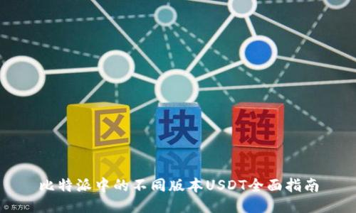 比特派中的不同版本USDT全面指南