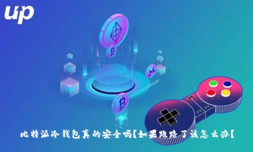 比特派冷钱包真的安全吗？如果跑路了该怎么办？