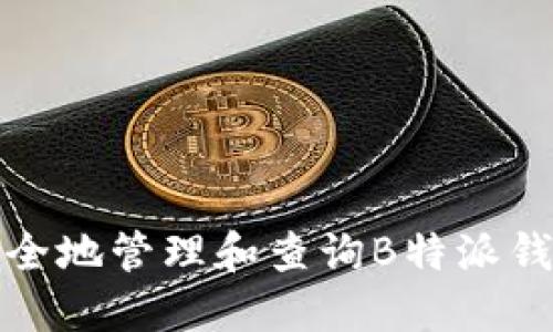 如何安全地管理和查询B特派钱包地址