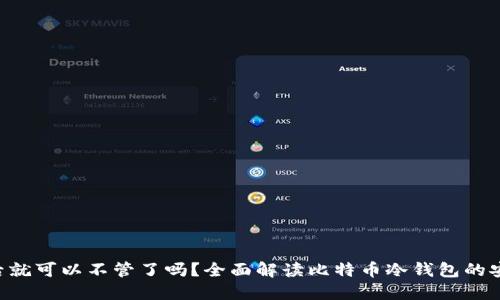 BTC放在冷钱包后就可以不管了吗？全面解读比特币冷钱包的安全性与管理策略