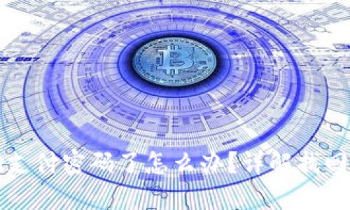 比特派忘记支付密码了怎么办？详解找回和重置流程