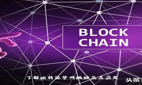 了解比特派管网地址及其应用