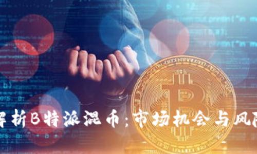 深入解析B特派混币：市场机会与风险评估