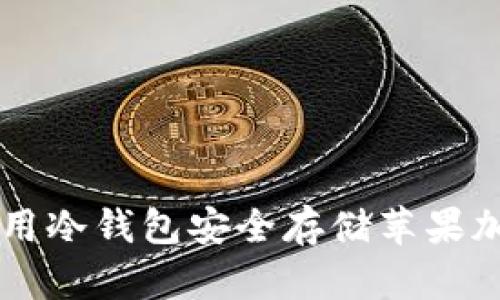 如何使用冷钱包安全存储苹果加密货币