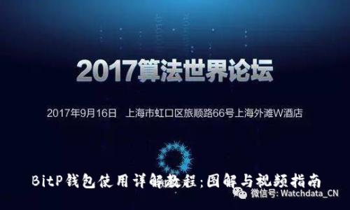 BitP钱包使用详解教程：图解与视频指南