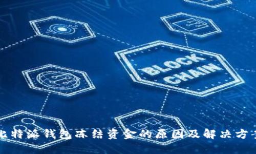 比特派钱包冻结资金的原因及解决方案